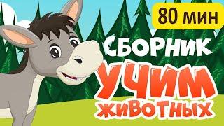 СБОРНИК! Развивающие мультики про животных для детей