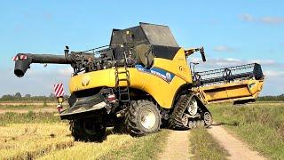 New Holland CR8.90 - TS135A - T6.125S | AZ. CARNEVALE