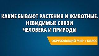 Какие бывают растения и животные. Невидимые связи человека и природы