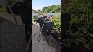 Garden is a mess as my dad prepares to paint #gardening #zone10 #florida #vegetable