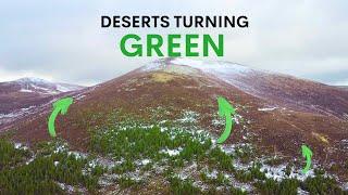 Scotland's Deserts are Turning Green - here's why