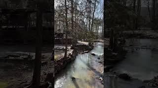 Peaceful scene on the Arkansas mountain homestead.  #shorts