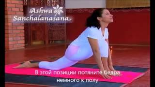 Art of Living Yoga Surya Namaskar на русском