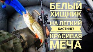 Рыбалка на Красивой мече сплавом в конце августа! Лайтовый кастинг! Shimano Zodias против жереха