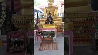 Ride around Mabprachan Lake, check this out! #shorts #pattaya #pattayathailand