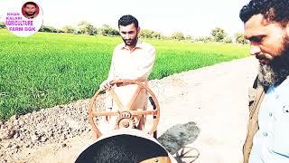 Sheik Usman Farm WADORE DGK