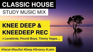 Classic House | Best of KNEE DEEP & KNEEDEEP Recordings | Study Music Mix