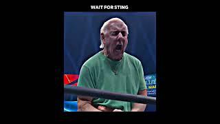 Young Bucks DESTROY Ric Flair & Darby Allin, But STING Saves Him | AEW Dynamite #wwe #shrots #aew