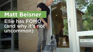 Do dogs have FOMO? (Answer: YES!) – with Matt Beisner, THE ZEN DOG Founder