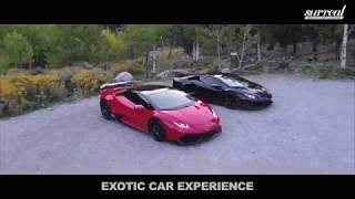 Exotic Car Rentals From Surreal Nightlife Las Vegas