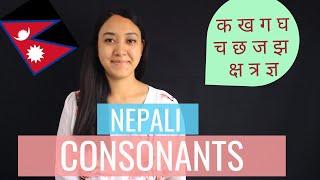 #2 Learn Nepali for Beginners | Nepali Consonants