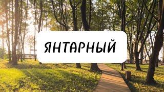 ЯНТАРНЫЙ| ПАРК БЕККЕРА| ЧТО ПОСМОТРЕТЬ?