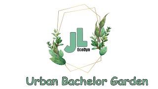 JL EcoDyn