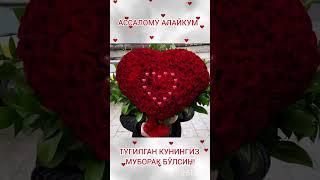 Ассалому алайкум! Тугилган кунингиз муборак бўлсин!
