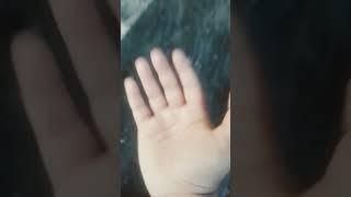 AMAR EId AR SALAMI