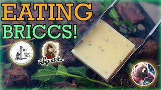 Top 10 BEST TASTING BRICCS | Dr. Squatch & Sudsy Bear Soap Bars