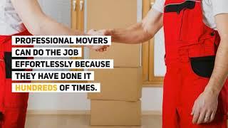 Moving Labor Helpers in Sarasota | Flat Fee Movers Sarasota | www.flatfeemovers.net