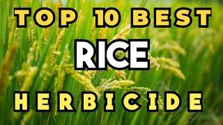 Top 10 Best Herbicide For Rice