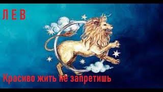 Лев - характеристика знака зодиака. Школа астрологии Virgo в Астане