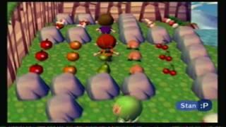 Animal Crossing City Folk- Tour Of StanVill