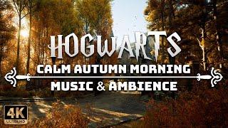 A Calm Autumn Morning at Hogwarts | 4K Harry Potter Music & Ambience