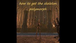 Eso skeleton polymorph how to get it Full Quest