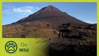 Cape Verde | Lava Lovers 1/4 | Go Wild