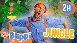 Blippi's Jungle Gym Adventures  Blippi Educational Kids Videos | After School Club