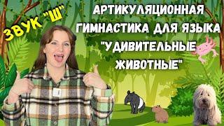 Артикуляционная гимнастика для языка для звука "Ш" | Самые удивительные животные