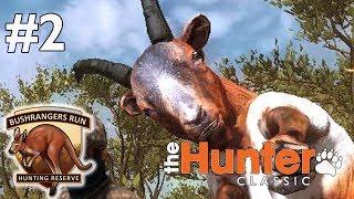 Шок! Мой первый Дикий козел! Редкий пегий окрас! theHunter Classic #2