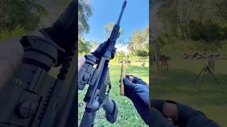 .50 BMG Raptor 50 vs. DA Targets