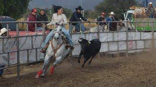 JARIPEO A CAPA Y LAZO EN SANTAS MARIAS SAN MIGUEL DE ALLENDE GUANAJUATO 21 DICIEMBRE 2024