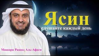 Красивое чтение Корана Сура ЯСИН! Мишари Рашид Аль-Афаси! Surah Yasin (Yaseen)