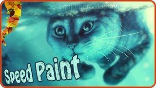 Photoshop speedpainting | Cat