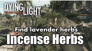 Dying Light Find lavender herbs l Incense Herbs