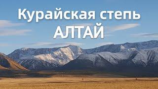 ПУТЕШЕСТВИЕ ПО ГОРНОМУ АЛТАЮ. ВЕРБЛЮДЫ. Курайская степь. Чуйский тракт. Северо-Чуйский хребет.