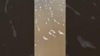 #The sea is spectacular#ostende #brugge #eeklo #ginti #brussels #ginti