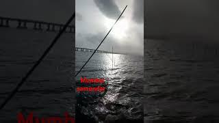 mumbai atal setu Marine drive beach