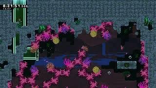 Celeste Strawberry Jam: Intermediate Lobby | Raspberry Roots (The Intermediate Heartside)