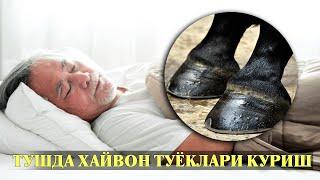 Туш табири - Тушда Хайвон туёкларини куриш