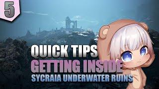 BDO QUICK TIPS #5 - HOW TO GET TO UNDERWATER