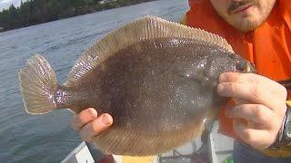 WA Fish Quest EP 27: Rock Sole