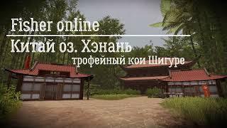 Fisher online Китай: оз. Хэнань - трофейный кои шигуре