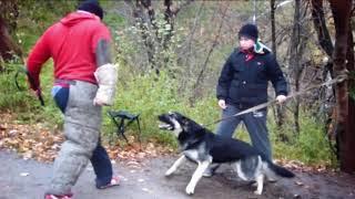 Алексей Локтионов 2016 ДЦ “ФЕНИКС“ площадка “Лыбедская“