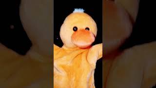 #DUCKSTER