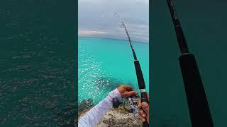 A BREATHTAKING Evening Hookup in Clear Water!