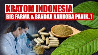 Belasan Juta Warga Amerika Kecanduan Kratom, Big Farma & Bandar Panik?