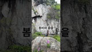 우리 미모에 태조가 울었다 #climbing #암벽등반 #등산 #shorts