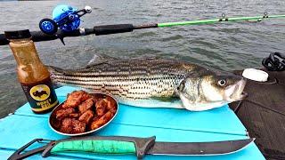 Making STRIPER WINGS on the Boat - Catch n' Cook!