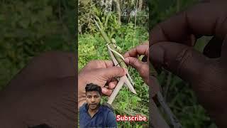 Mini Bamboo Crossbow – Tiny but Powerful! #BambooCraft #MiniCrossbow #DIYProjects